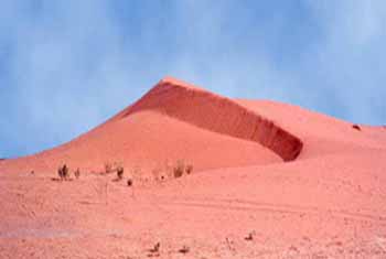 Dunes du Kalahari