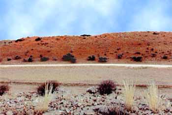 Paysage du Kalahari