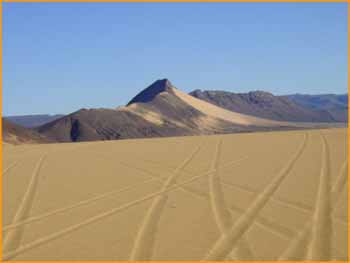 Traces dans le désert