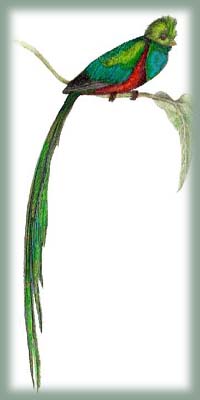 Guatemala - Quetzal