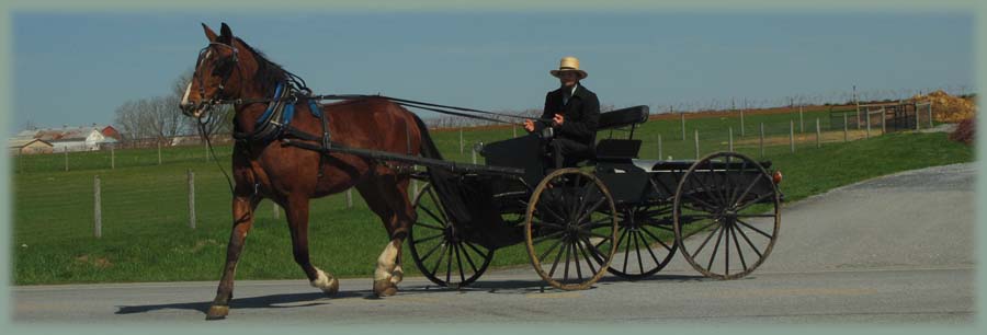 Amish - Pennsylvanie