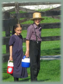 Amish - Pennsylvanie