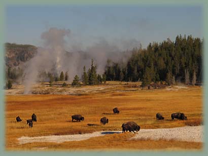 Yellowstone - Wyoming