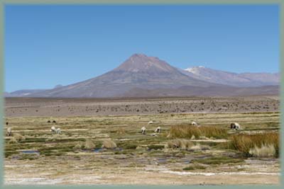 Chili - Altiplano