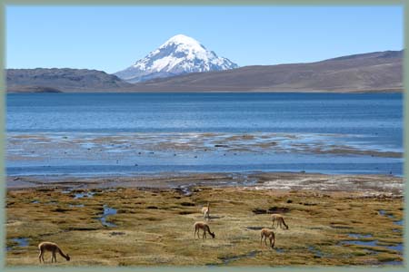 Chili - Altiplano