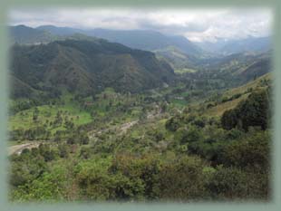 Colombie - Valle del Cocora