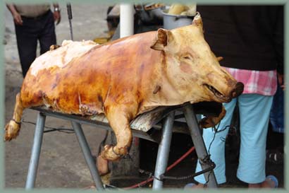 Equateur - Cochon grillé de bord de route