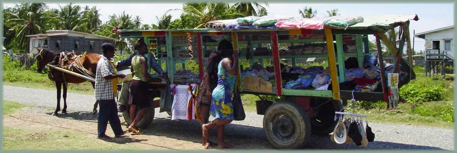 Guyana - marchand ambulant