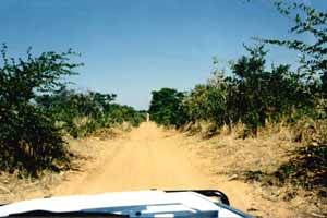 en route pour le parc national de Chobé