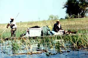Mokoro sur le delta de l'Okavango
