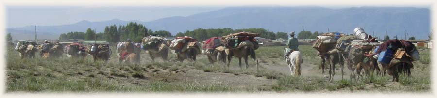 Caravane nomade de Mongolie