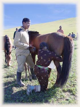 Laitages - Mongolie