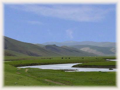 Orkon vallée - Mongolie